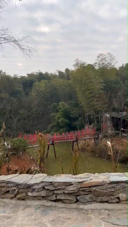 花溪新闻爆料网最新动态,聚焦热点事件，揭秘幕后真相