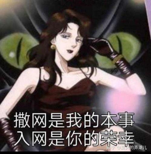 渣女娇妻新闻爆料大全,揭秘娱乐圈背后的情感纠葛